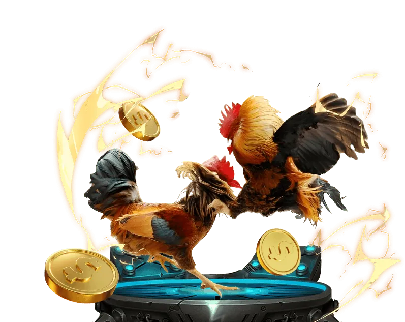 Lợi ích khi cá cược đá gà tại Hello88